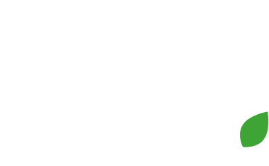 Helsingin seudun kesäyliopisto